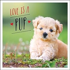 Love pup dog for sale  Delivered anywhere in USA 