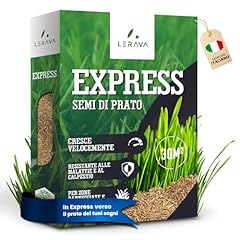Lerava express semi usato  Spedito ovunque in Italia 