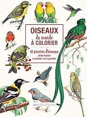 Oiseaux colorier 40 d'occasion  Livré partout en France