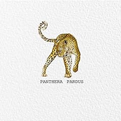 Panthera pardus for sale  Delivered anywhere in UK