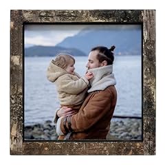 Eosglac rustic 8x8 for sale  Delivered anywhere in USA 