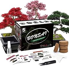 Meekear bonsai tree for sale  Delivered anywhere in USA 