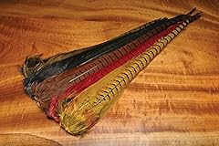 Ringneck pheasant complete for sale  Delivered anywhere in USA 