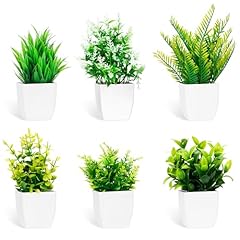 Bbwell pièces plantes d'occasion  Livré partout en France