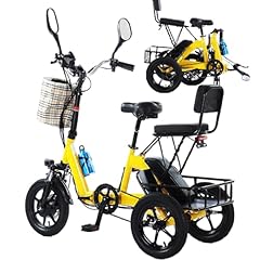 Sushangmao triciclo elettrico usato  Spedito ovunque in Italia 