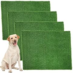 Roowest pcs dog for sale  Delivered anywhere in USA 