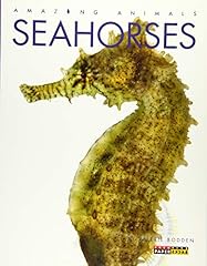 Seahorses for sale  Delivered anywhere in USA 