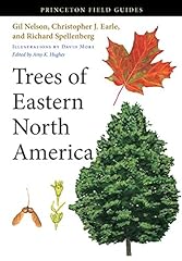 Trees eastern north for sale  Delivered anywhere in USA 