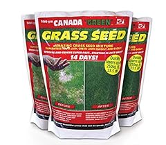 Canada green grass for sale  Delivered anywhere in UK