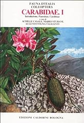 Coleoptera carabidae. introduz usato  Spedito ovunque in Italia 