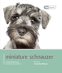Miniature schnauzer miniature for sale  Delivered anywhere in UK
