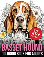 Basset hound adult for sale  Delivered anywhere in UK