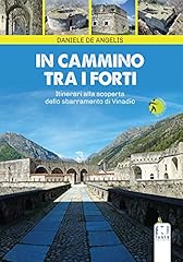 Cammino tra forti. usato  Spedito ovunque in Italia 
