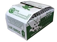 Baby chick live for sale  Delivered anywhere in USA 