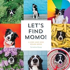 Let find momo usato  Spedito ovunque in Italia 