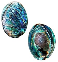 Polished abalone shell for sale  Delivered anywhere in USA 