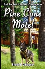 Pine cone motel for sale  Delivered anywhere in USA 