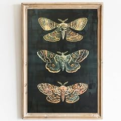 Dark moth canvas for sale  Delivered anywhere in USA 