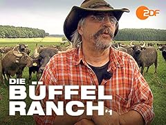 Büffelranch gebraucht kaufen  Wird an jeden Ort in Deutschland