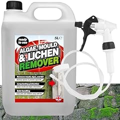 Mould algae lichen for sale  Delivered anywhere in UK