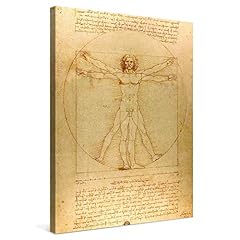 Picanova leonardo vinci for sale  Delivered anywhere in USA 