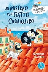 Mistero per gatto usato  Spedito ovunque in Italia 