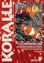 Clownfische meerwasseraquarium gebraucht kaufen  Wird an jeden Ort in Deutschland