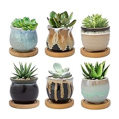 Warmplus 6.5CM Ceramic Succulent Plant Pot, Cactus for sale  Delivered anywhere in UK