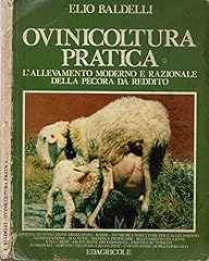 Ovinicoltura pratica. allevame usato  Spedito ovunque in Italia 
