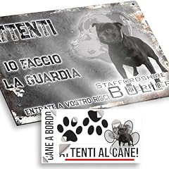 Attenti cane staffordshire usato  Spedito ovunque in Italia 