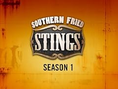 Southern fried stings for sale  Delivered anywhere in USA 