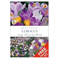 Pack crocus large for sale  Delivered anywhere in UK