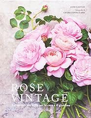 Rose vintage. varietà usato  Spedito ovunque in Italia 