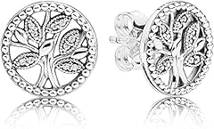 Boucle oreille argent d'occasion  Livré partout en France