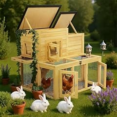 Xiliqingeco outdoor chicken for sale  Delivered anywhere in USA 