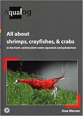 Shrimps crabs crayfishes for sale  Delivered anywhere in UK