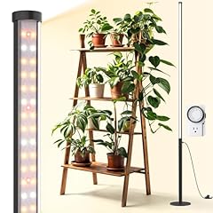 Barrina t10 pro for sale  Delivered anywhere in USA 