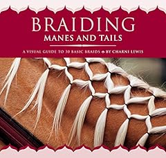 Braiding manes tails for sale  Delivered anywhere in USA 