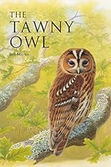 Tawny owl for sale  Delivered anywhere in UK