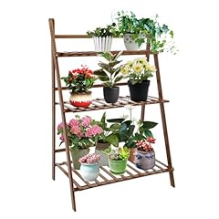 Ccxyyfdj tier plant for sale  Delivered anywhere in USA 