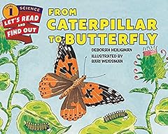 Caterpillar butterfly for sale  Delivered anywhere in USA 