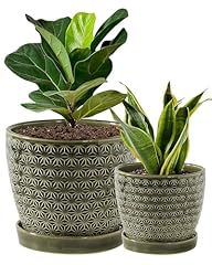 Ceramic plant pots for sale  Delivered anywhere in USA 