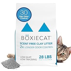 Boxie unscented day for sale  Delivered anywhere in USA 