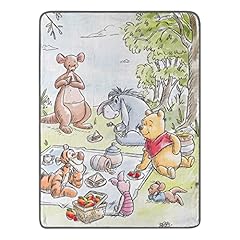 Northwest winnie pooh for sale  Delivered anywhere in USA 