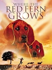 Red fern grows for sale  Delivered anywhere in USA 