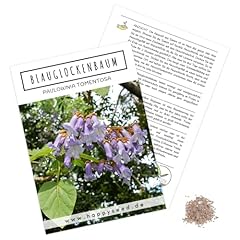 Blauglockenbaum kiribaum samen gebraucht kaufen  Wird an jeden Ort in Deutschland