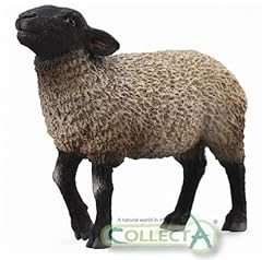 Collecta pecore della usato  Spedito ovunque in Italia 