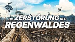 Zerstörung regenwaldes gebraucht kaufen  Wird an jeden Ort in Deutschland
