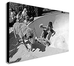 Dogtown boys skateboarding for sale  Delivered anywhere in USA 