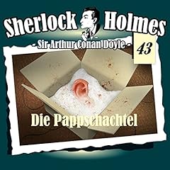 Riginale fall pappschachtel gebraucht kaufen  Wird an jeden Ort in Deutschland